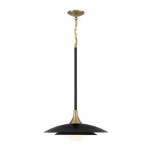 Eurofase Gold US 46441-041 - Welsh 1 Light Pendant in Black