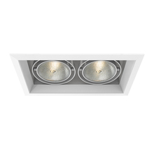Eurofase Gold US TE132-22 - MULT,PAR30,TRM,2LT,75W,WH/WHT