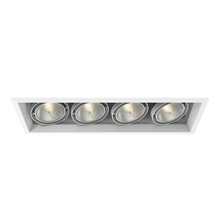 Eurofase Gold US TE134A-22 - MuLT, Par30, Trm, 4LT , 75w, Wt/wtt