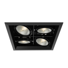 Eurofase Gold US TE134B-01 - MULT,PAR30,TRM,4LT,SQ,BLK/BLK