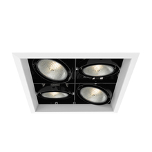 Eurofase Gold US TE134B-02 - MULT,PAR30,TRM,4LT,SQ,WHT/BLK