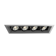 Eurofase Gold US TE164A-0N - MULT,PAR20,TRM,4LT,50W,PT/BLK