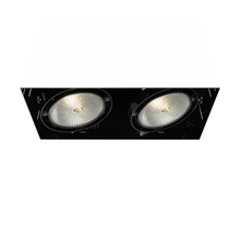 Eurofase Gold US TE222-01 - MULT,PAR30,TRIMLSS,2LT,75W,BLK