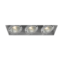 Eurofase Gold US TE223-02 - MULT,PAR30,TRIMLSS,3LT,75W,WT
