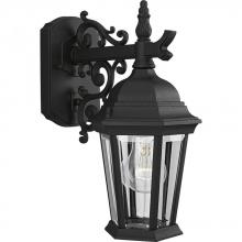 Progress P5682-31 - Welbourne One-Light Small Wall Lantern