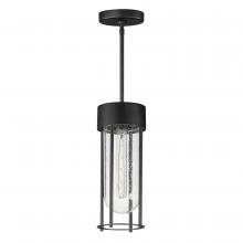 Maxim 30587CDBK - Millennial-Outdoor Hanging Lantern