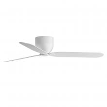 Ceiling Fans