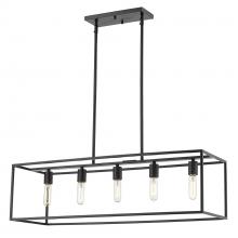 Acclaim Lighting IN21002BK - Cobar 5-Light Matte Black Island Pendant