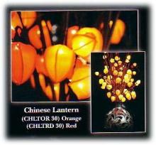 Light Garden CHLTOR30 - CHINESE LANT.OR