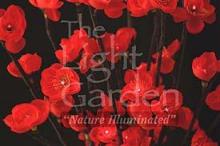 Light Garden RDFL96 - RED PLUM